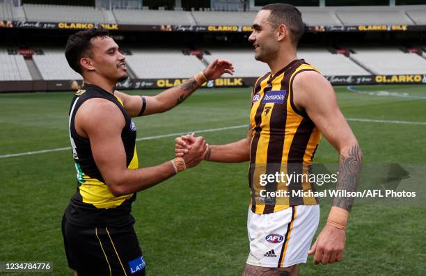 Sydney Stack of the Tigers and Shaun Burgoyne of the Hawks interact during the 2021 AFL Round 23 match between the Richmond Tigers and the Hawthorn...