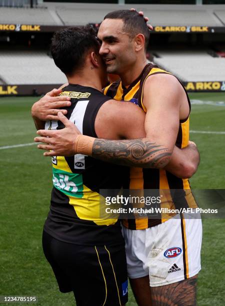 Sydney Stack of the Tigers and Shaun Burgoyne of the Hawks interact during the 2021 AFL Round 23 match between the Richmond Tigers and the Hawthorn...