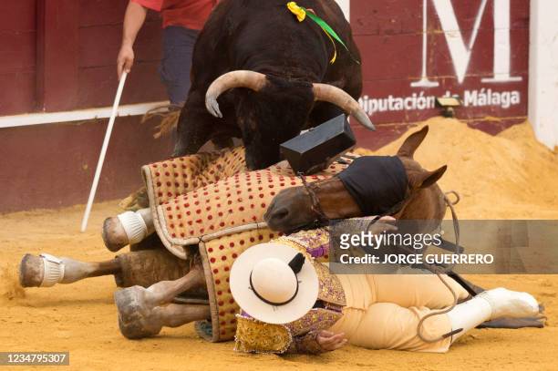 The bull charges Spanish matador Salvador Vega's picador and his horse during a bullfight at the Malagueta bullring in Malaga on August 21, 2021.