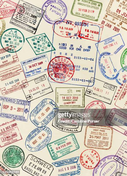 numerous visa stamps on a passport page - auswanderung und einwanderung stock-fotos und bilder