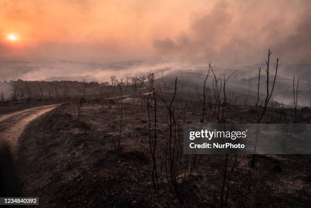 Firefighters, forest brigades, volunteers and Civil Defense agents struggle to contain the flames that consume out of control a large part of the...