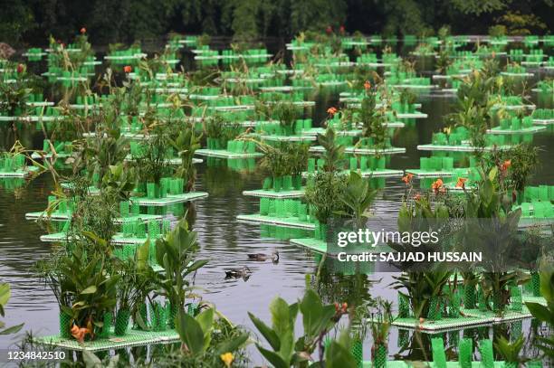 Floating Rafters Lake Delhi Photos and Premium High Res Pictures - Getty Images