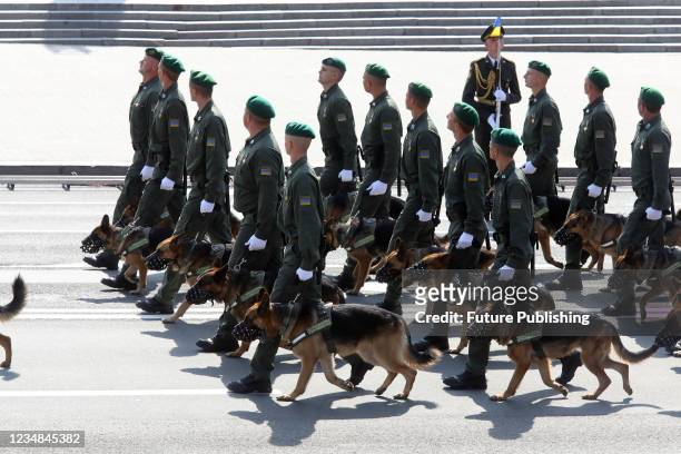 Members of the K9 unit of the State Border Guard Service and service dogs walk along Khreshchatyk Street during the Kyiv Independence Day Parade on...