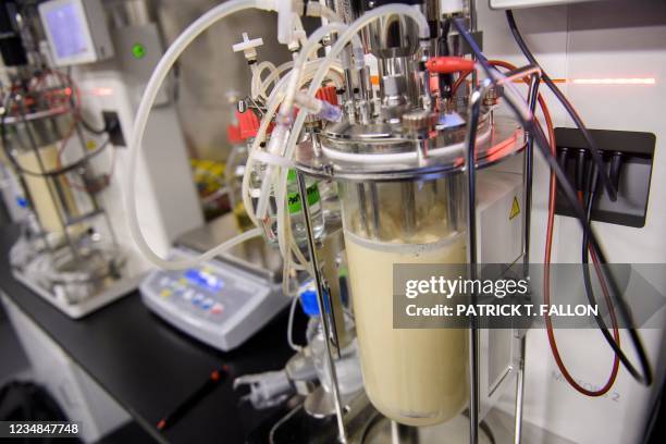 Equipment for chicken in yeast fermentation to develop chicken protein inside the laboratory at Bond Pet Foods on July 1, 2021 in Boulder, Colorado....