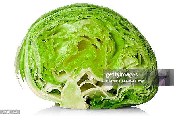 fresh iceberg lettuce cut in half - cut cabbage stock pictures, royalty-free photos & images