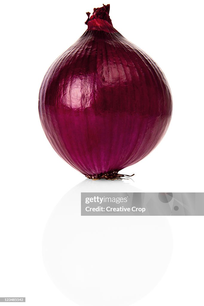 Fresh red onion