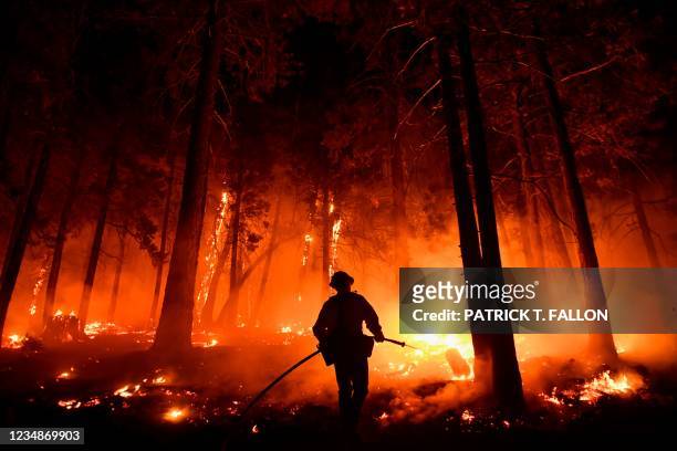 Kern County Fire Captain Bruce Wells uses a hose line to keep fire from burning up a tree as the wildfire burns closer to homes during the French...