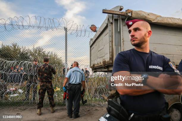 Hungarian soldiers and workers erect a barbwire fence as Hungarian police officers close the border line between Serbia and Hungary in Roszke,...