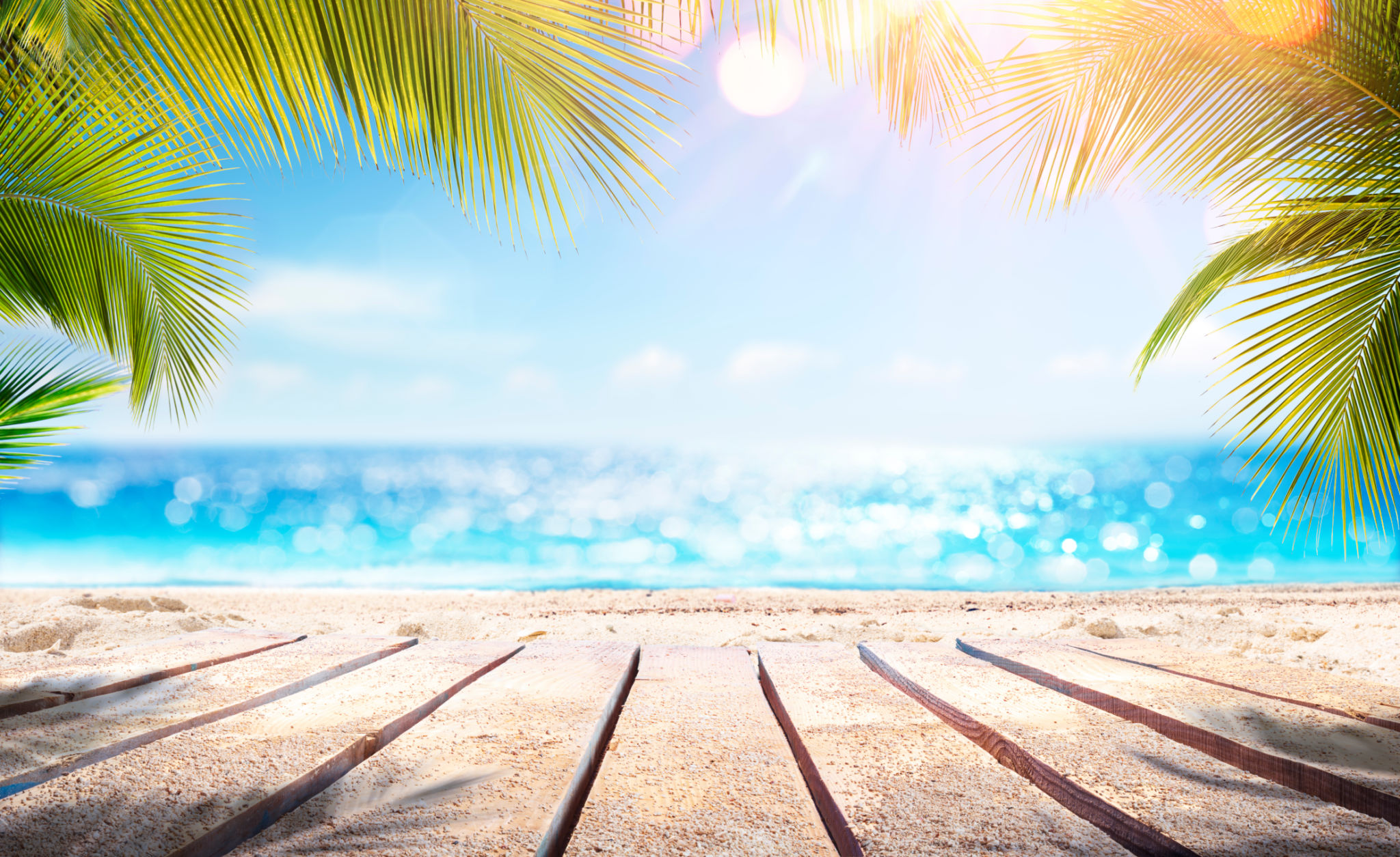 tropical products