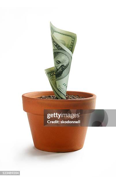 investing - 100 dollar bill new stockfoto's en -beelden