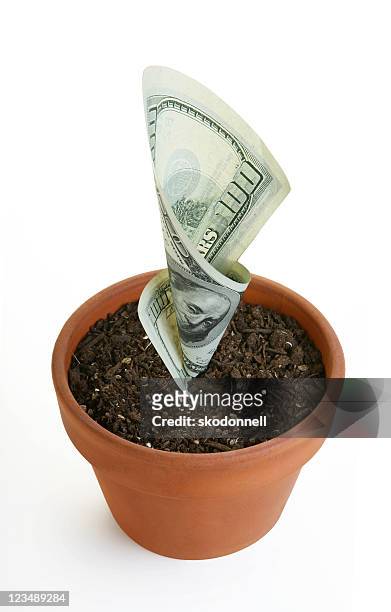 growth - mutual fund stock pictures, royalty-free photos & images