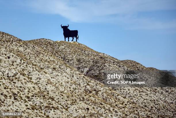 The black silhouette of an Osborne bull on one side of the National in Alfajarin. The Osborne bull since 1956 it is an icon of the roads of Spain....