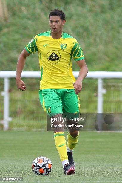 Jayden Warner of Norwich City in action during the Premier League 2 match between Sunderland and Norwich City at the Academy of Light, Sunderland,...