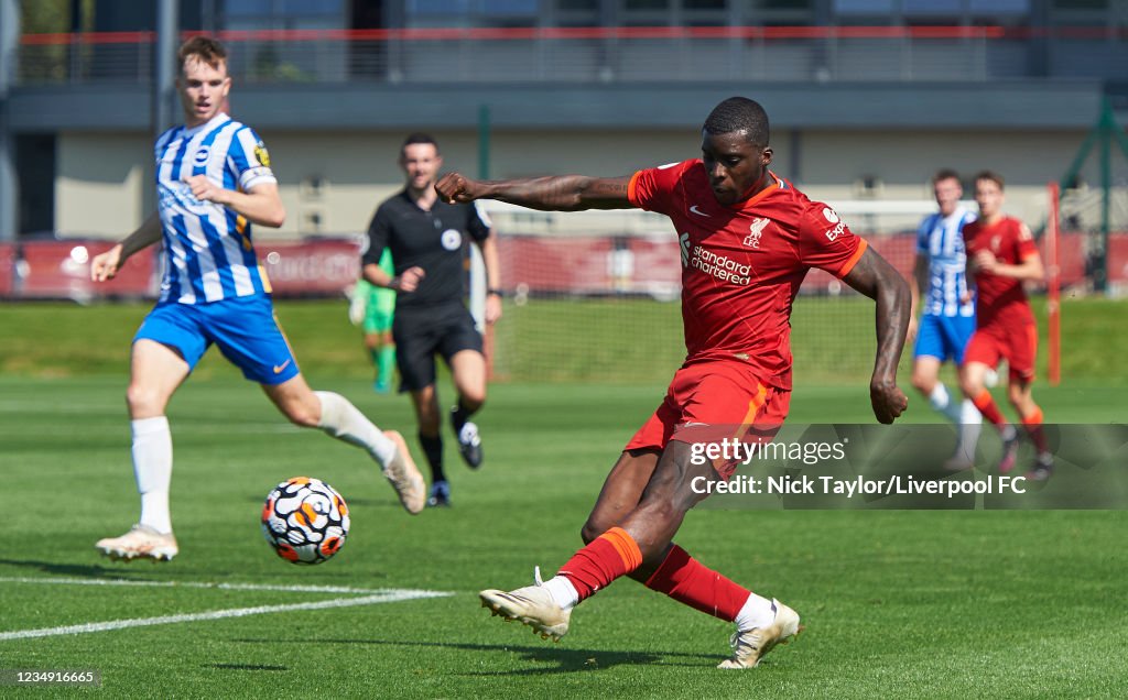 Liverpool U23 v Brighton & Hove Albion U23: Premier League 2