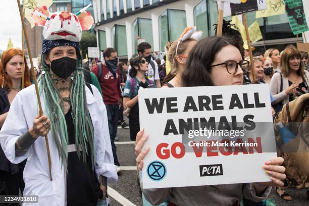 Anima Rights March 2,296 The London Animal Rights March Stock Photos, High-Res Pictures ...