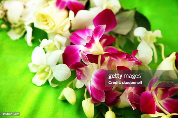 hawaiian lei - hawaiian culture stock pictures, royalty-free photos & images