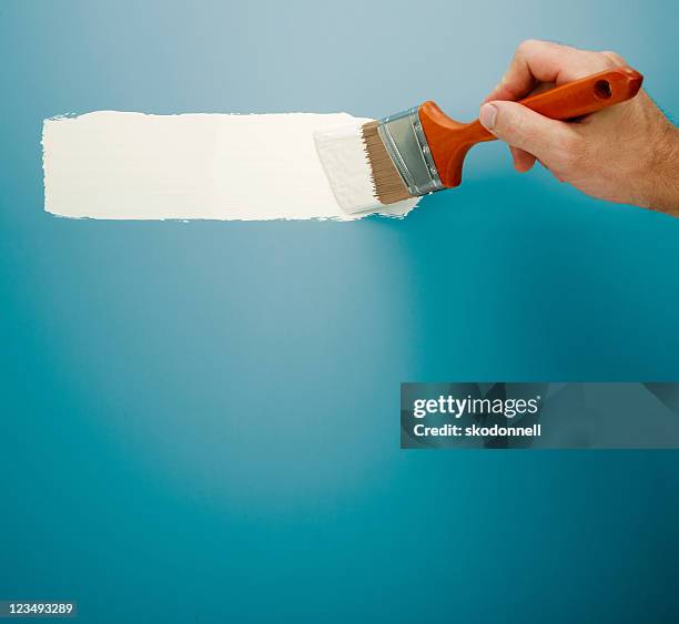 paint brush line xxl - schilderen stockfoto's en -beelden