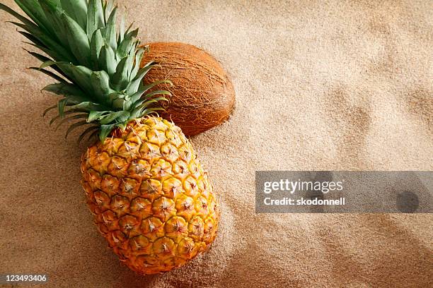 ananas- und kokosnuss am strand - kokosnuss stock-fotos und bilder