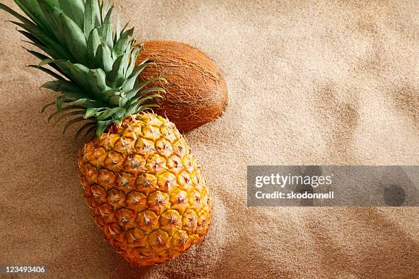 ananas- und kokosnuss am strand - kokosnüsse stock-fotos und bilder