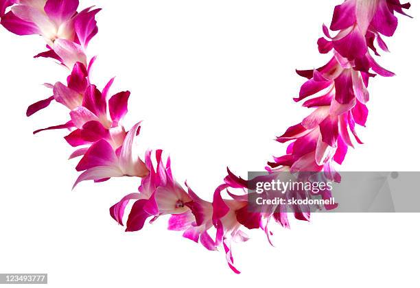 collier de fleurs hawaïen - culture hawaïenne photos et images de collection