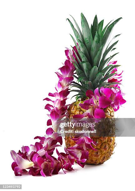 ananas et collier de fleurs sur blanc - hawaiian lei photos et images de collection