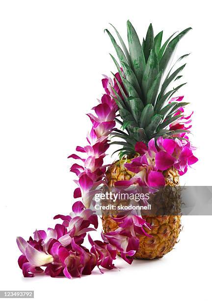 pineapple and lei on white - garland bildbanksfoton och bilder