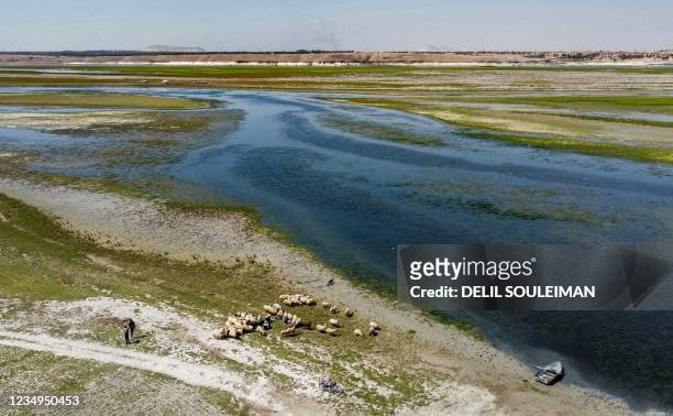 This picture taken on July 25, 2021 shows an aerial view of a shepherd tending sheep grazing in the former bed of the waters upstream of the Lake...