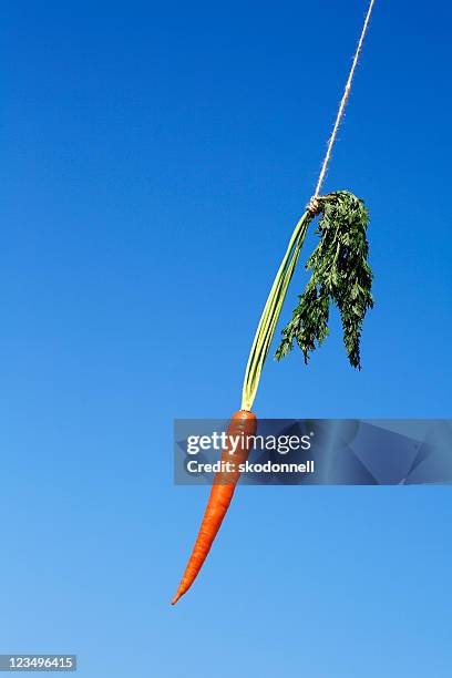 dangling a carrot - veleiding stockfoto's en -beelden