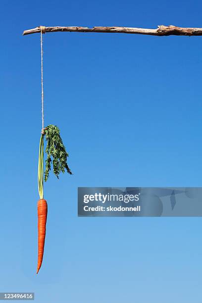 dangling a carrot-englische redewendung - dangling a carrot stock-fotos und bilder