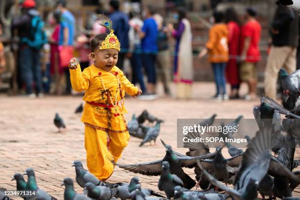 Kid dressed as Lord Krishna plays with pigeons during the festival at Krishna Mandir. Krishna Janmashtami is an annual Hindu festival that celebrates...