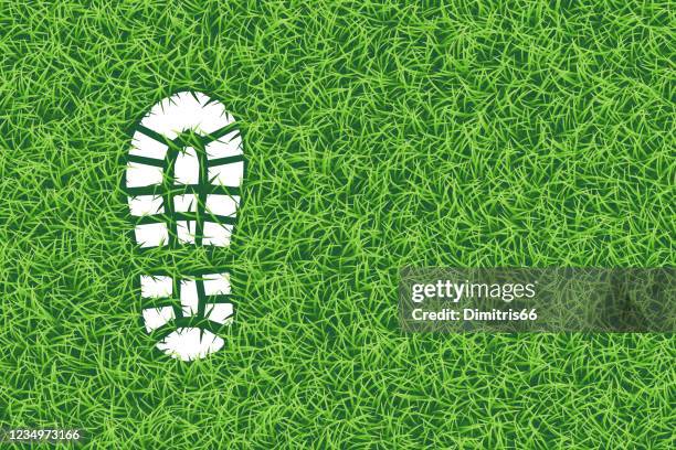 ilustrações de stock, clip art, desenhos animados e ícones de footprint in the grass, realistic vector illustration - social impact