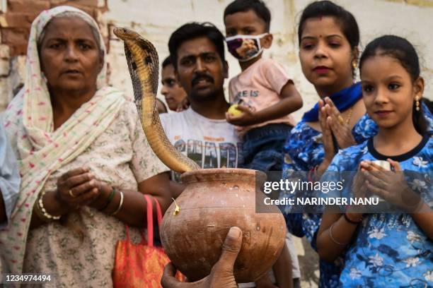 Snake Rituals Snake Worship Photos and Premium High Res Pictures - Getty Images
