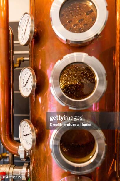 August 2021, Baden-Wuerttemberg, Schallstadt: A mixture to be distilled boils on the different column trays of a distillation apparatus. The...