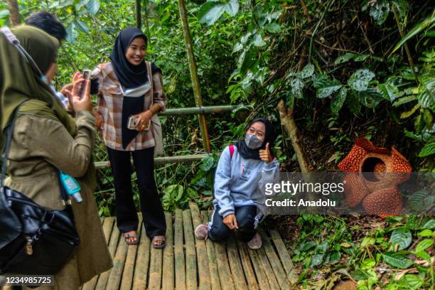 Woman takes a photo with the background of the giant rafflesia arnoldii flower at a resident's yard in Kepahiang district, Bengkulu, Indonesia on...