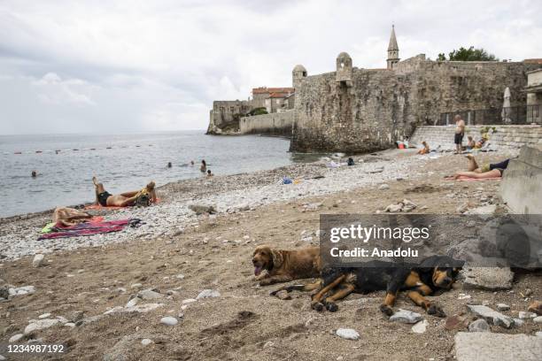 View from a beach of Budva town of Montenegro on August 31, 2021. Montenegro attracts tourists with its sea, mountains, lakes, caves, waterfalls and...