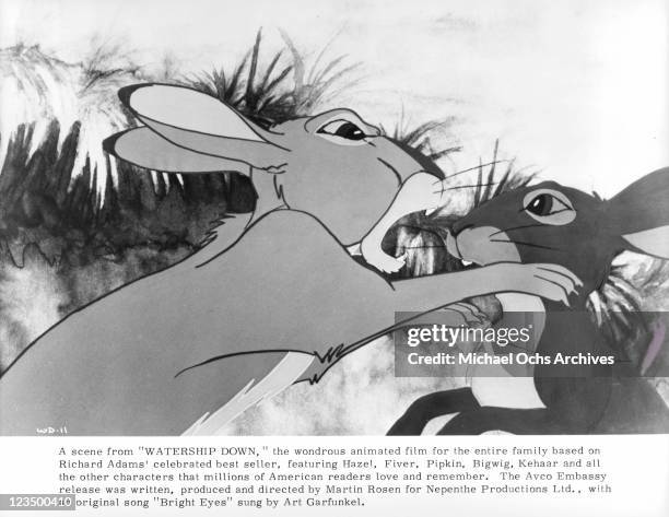 Rabbit fights another in a scene from the film 'Watership Down', 1978.