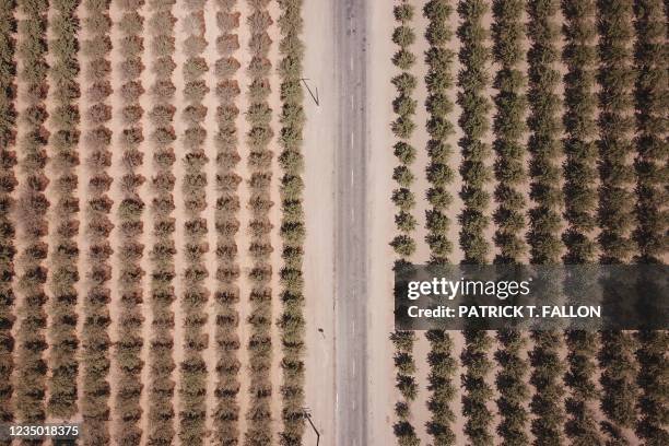 In this aerial image, a road runs though farmland in Tulare County in the Central Valley on August 26, 2021 near Pixley, California. - The US Senate...