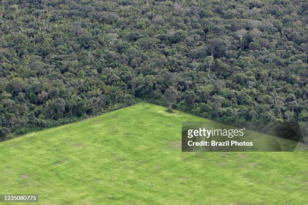 Large estate land management in Amazon rain forest, interspersed patches of intact forets and deforested areas occupied with soy plantation.