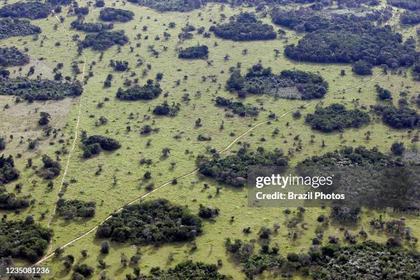 Aerial view of Amazon rain forest - private road inside large estate crosses patches of intact and deforested areas interspersed.