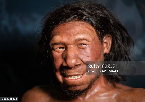 Picture taken on September 6, 2021 shows the reconstruction of the face of the oldest Neanderthal found in the Netherlands, nicknamed Krijn, on...