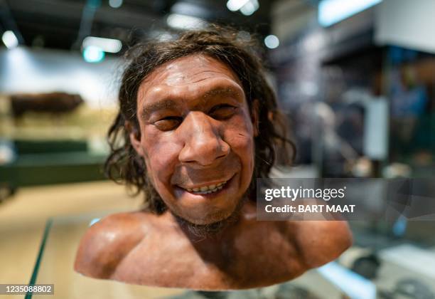 Picture taken on September 6, 2021 shows the reconstruction of the face of the oldest Neanderthal found in the Netherlands, nicknamed Krijn, on...