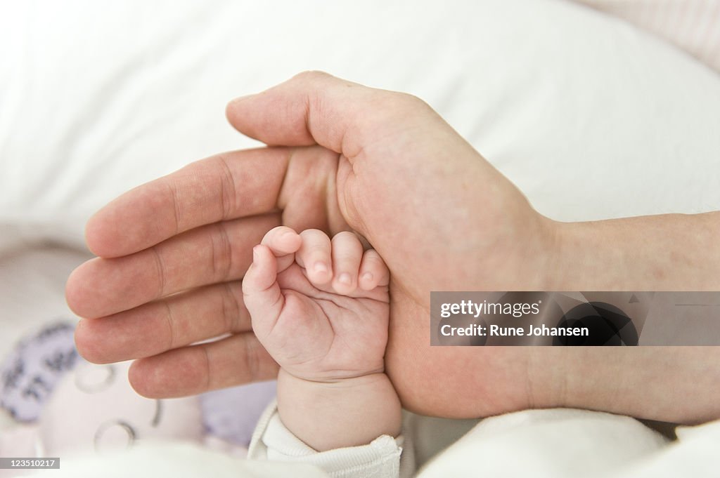 Hand of baby girl inside father's palm