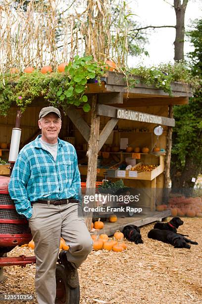 organic farmstand owner, dover, ma - kleine groep dieren stockfoto's en -beelden