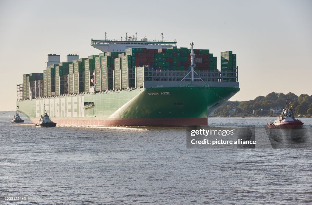 Container Ace The