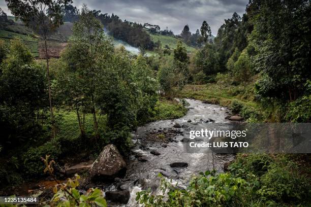 Mathioya Kenyas World Photos and Premium High Res Pictures - Getty Images