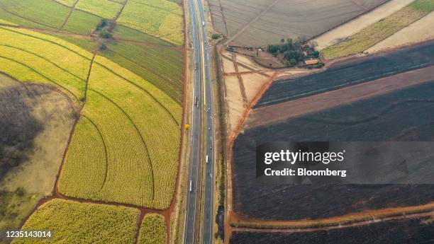 Sugarcane fields next to scorched fields due a fire near Ribeiro Preto, Sao Paulo state, Brazil, on Wednesday, Aug. 25, 2021. Extreme weather is...