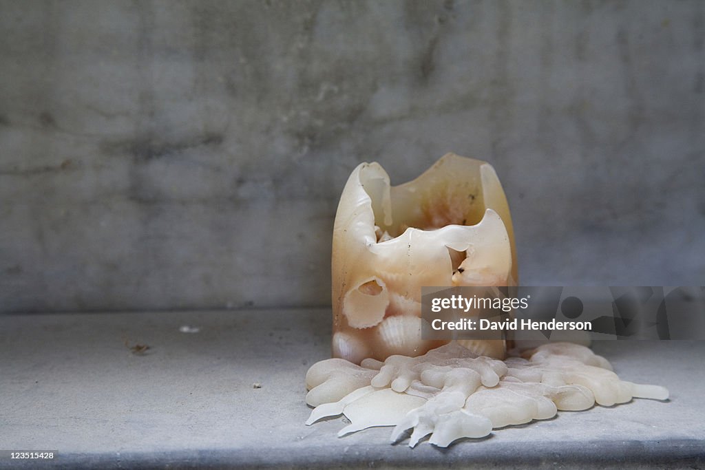 Candle wax