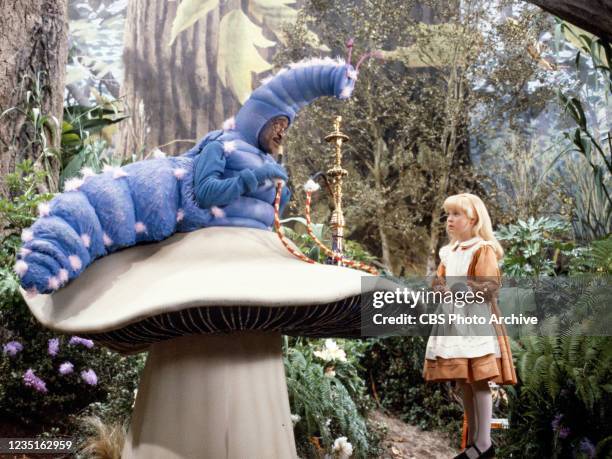 Cbs Alice Alice And Wonderland Caterpillar Photos and Premium High Res Pictures ...