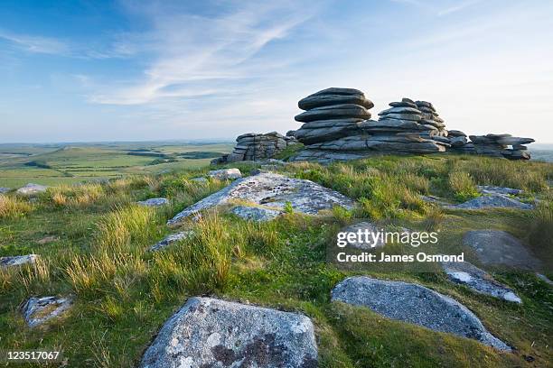 granite rock formations on the summit of rough tor, bodmin moor. cornwall. england. uk. - bodmin moor foto e immagini stock