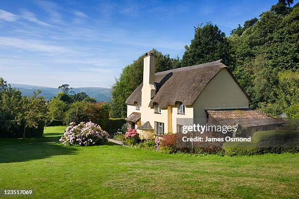 thatched cottage in selworthy. exmoor national park. somerset. england. uk. - somerset stock-fotos und bilder